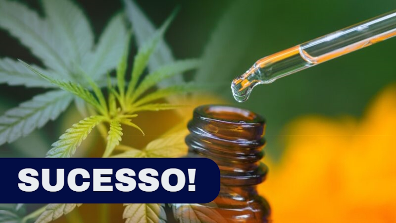 Cannabis Medicinal